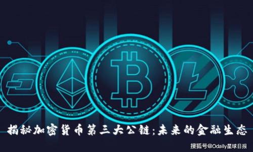 揭秘加密货币第三大公链：未来的金融生态