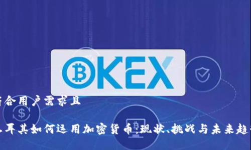 符合用户需求且

土耳其如何运用加密货币：现状、挑战与未来趋势