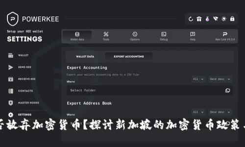新加坡是否放弃加密货币？探讨新加坡的加密货币政策与未来发展