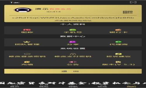 揭秘中国加密货币对冲基金：投资机会与风险分析