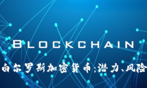 全方位解析白尔罗斯加密货币：潜力、风险与未来趋势