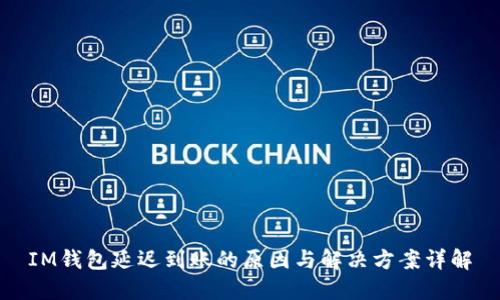 IM钱包延迟到账的原因与解决方案详解