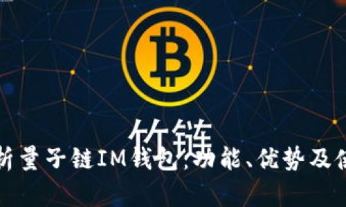 全面解析量子链IM钱包：功能、优势及使用指南