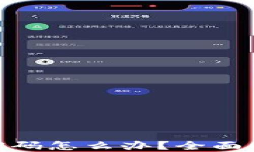 
imToken钱包忘记密码怎么办？全面解决方案与实用技巧