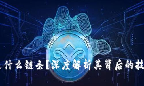 IM钱包是什么链条？深度解析其背后的技术与应用