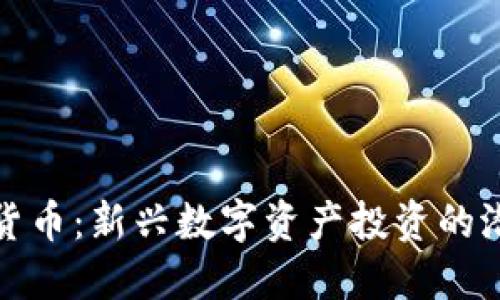 宝宝加密货币：新兴数字资产投资的潜力与风险