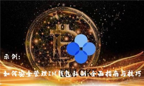 示例:

如何安全管理IM钱包私钥：全面指南与技巧