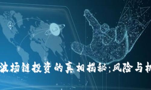 IM钱包波场链投资的真相揭秘：风险与机遇并存