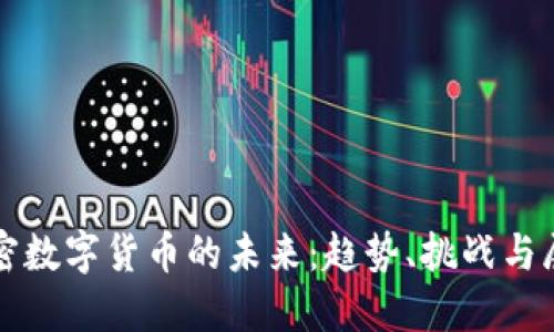 加密数字货币的未来：趋势、挑战与展望