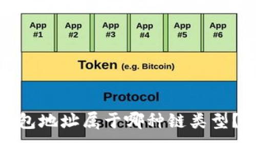 imToken钱包地址属于哪种链类型？详解与应用