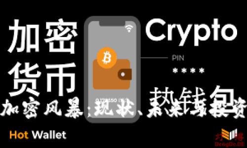 数字货币加密风暴：现状、未来与投资机遇分析