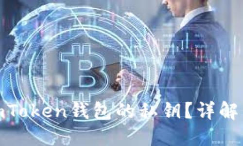 : 如何查看imToken钱包的私钥？详解私钥和安全性