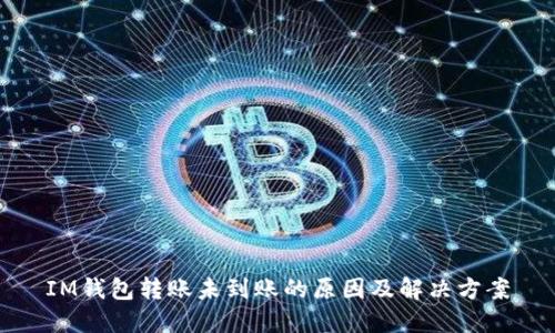 IM钱包转账未到账的原因及解决方案