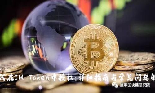 如何在IM Token中授权：详细指南与常见问题解答